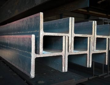 ორტესებრი კოჭი